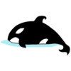 Whale 25