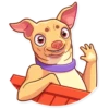 Tuna the Dog 30