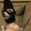 UwU Cute Dogs 7