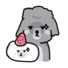 charcoal & mochi 5