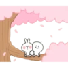 Spoiled rabbit 7