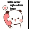 hello owner mjhe admin bnao
