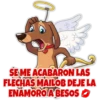️ [CUPID DOG] ️ 12