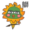 PePe 14