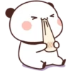 cute panda 7