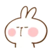 Spoiled rabbit 10