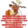 ️ [CUPID DOG] ️ 14