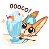 summer_fenek_vk 8