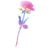 APPLE 10