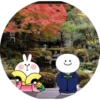 Spoiled rabbit 11