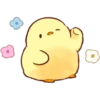 Soft and Cute Chicks 12