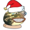 Winter Pepe 15