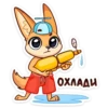summer_fenek_vk 13