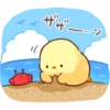 Soft and Cute Chicks 14