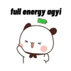 full energy agyi SEE