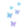 APPLE 16