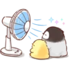 Soft and Cute Chicks 16