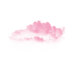 APPLE 20