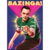 The Big Bang Theory 21