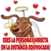 ️ [CUPID DOG] ️ 21
