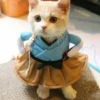 Kittens 26