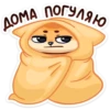 summer_fenek_vk 22