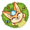 summer_fenek_vk 29