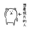 whitebear 29