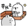 Ugly rabbit 29