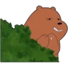 We Bare Bears 29