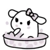 White: Kitty 12