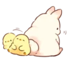 Soft and cute rabbits 6