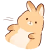 Soft and cute rabbits 7