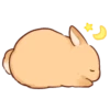 Soft and cute rabbits 8