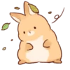 Soft and cute rabbits 9