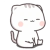 Kucing Gaje 6