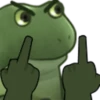 Worry Frog 8