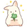 Soft and cute rabbits 10