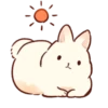Soft and cute rabbits 11