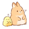 Soft and cute rabbits 12
