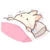 Soft and cute rabbits 13