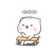 Kucing Gaje 11