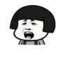 Celok ayaa 13