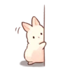 Soft and cute rabbits 15