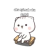 Kucing Gaje 16