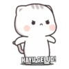 Kucing Gaje 17