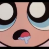 the powerpuff girls 13
