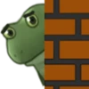 Worry Frog 10