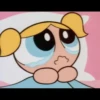 the powerpuff girls 14