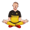 Football memes 12